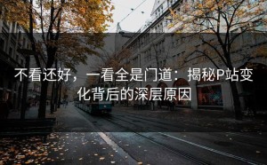 不看还好，一看全是门道：揭秘P站变化背后的深层原因