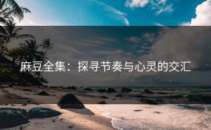 麻豆全集：探寻节奏与心灵的交汇